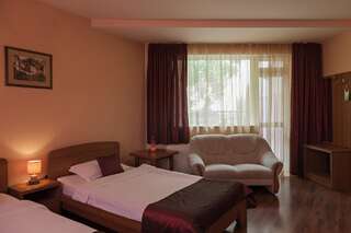 Отель Family Hotel Gerdjika Пловдив Улучшенный двухместный номер с 2 отдельными кроватями и балконом-3