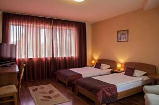 Отель Family Hotel Gerdjika Пловдив Улучшенный двухместный номер с 2 отдельными кроватями и балконом-4